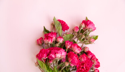 color composition of small spray roses. view from above. Empty space place for text.