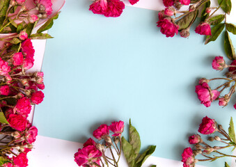 color composition of small spray roses. view from above. Empty space place for text.