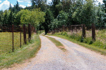 Fototapeta na wymiar Receeding curved two track gravel road through pasture with old fences lining sides