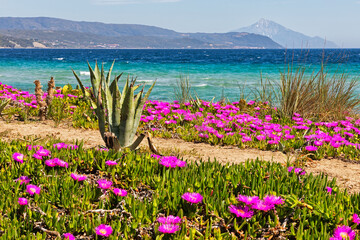 Beach in Halkidiki, in front of Mount Atos, Greece - obrazy, fototapety, plakaty