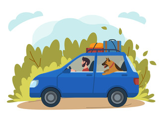 Travelling with dogs. Illustration of man riding a car with dog, carriage of dogs on car. Stock vector.