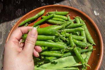 fresh healthy green peas and beans on a clay plate
