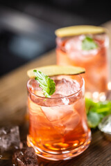Cranberry cocktail sea breeze detail with ice and mint leaf