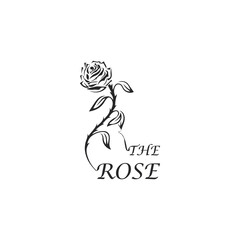 Vector illustration of a beautiful rose. Rose vector design template. The rose logo design inspiration