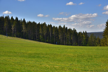 Fototapeta na wymiar On the edge of the forest, Thuringia