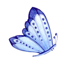 Summer insects, butterfly. Hand watercolor illustration isolated on white background. The concept of summer, freedom, flight, for the design of print, cover, postcard, congratulation, invitation.