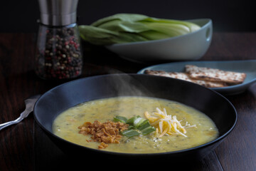 sopa