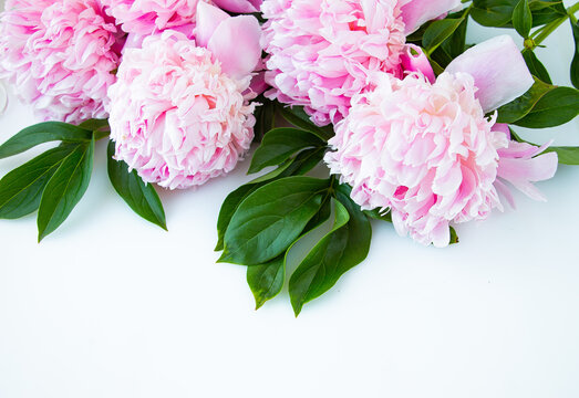 Bouquet of pink peonies on a white background. Happy birthday or wedding day greeting card. Copy space for text.