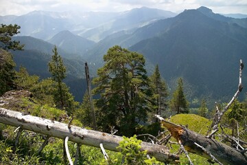 A view of the mountains visible from Demanovska hill in Liptov. © Stanislav