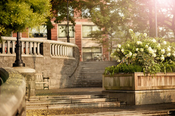 Beautiful view with old city park background