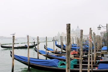 Venezia - Italia