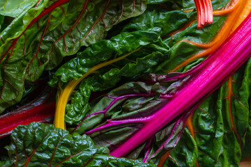 Colorful swiss chards