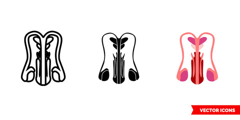 Male reproductive system icon of 3 types. Isolated vector sign symbol.