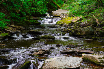 Beautiful flowing stream at Rickett's Glen State Park.