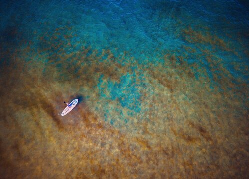 Aerial of Paddle board, Maenporth Beach, Cornwall