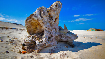 Plage du Pin Sec Naujac sur Mer