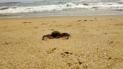 beach atmosphere on a sunny day