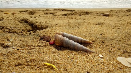 beach atmosphere on a sunny day