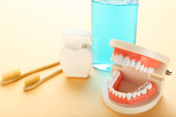 Teeth model with bottle of mouthwash, toothbrushes and dental thread on beige background