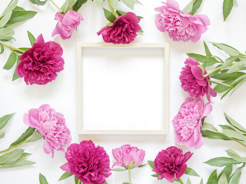 Flower composition. Mockup with empty wooden photo frame and red and pink peonies. Drops of water are on the petals. White background. Copy space.