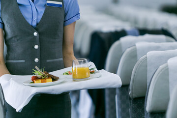 Mid section view of an air hostess carrying a tray of food