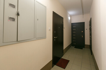 entrance door to the apartment in the entrance