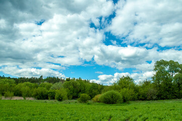green field and blue sky