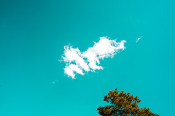 Steppe landscape. Beautiful aqua blue sky. Sunny summer day. 