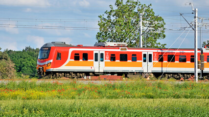 Polish rail transport.