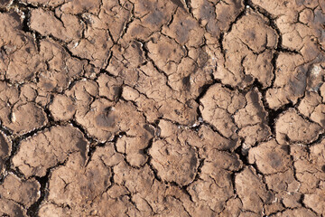 Dry cracked ground