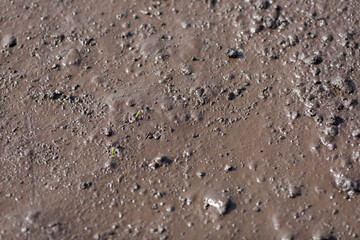 Wet peat, fertile soil