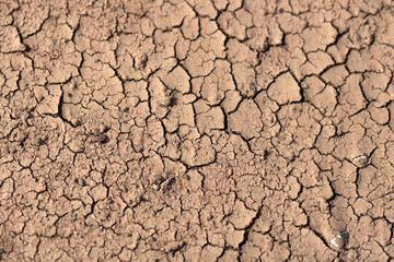 Dry cracked ground
