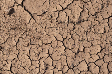 Dry cracked ground
