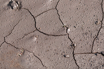 Dry cracked ground