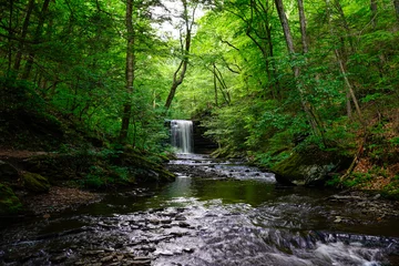  Beautiful waterfall along a hiking path in Rickett's Glen State Park in Pennsylvania. © Kathy