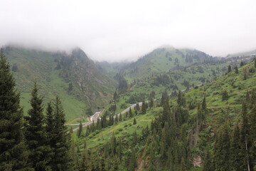 Fototapeta na wymiar mountain landscape with fog