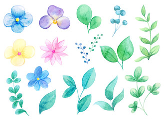 Watercolor set of cute flowers, leaves and branches. Colorful summer flowers for design on white background. Watercolor floral collection. Big Set watercolor elements - wildflowers, herbs, leaves