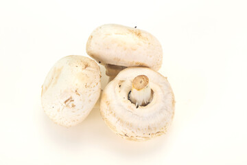 Raw Champignon heap for cooking