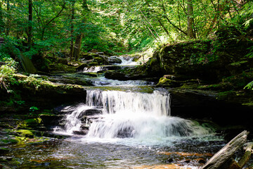 Beautiful waterfall at Rickett's Glen State Park in Pennsylvania.