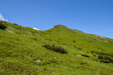Picturesque Carpathian landscape in summer. View of mount Turkul peak in Chornohora mountain range. Popular hiking destination. Altitude 1933-metre.