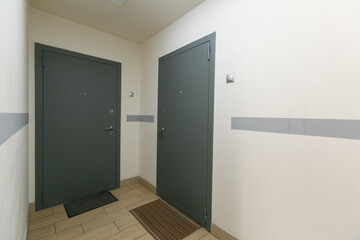 entrance door to the apartment in the entrance