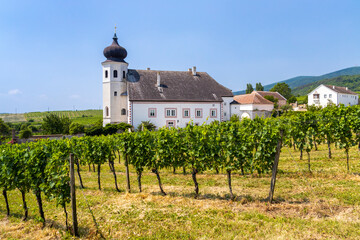 Fototapeta na wymiar Monastery winery Thallern near Gumpoldskirchen, Lower Austria, Austria