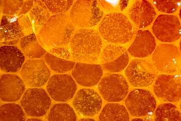 Honey close-up. Amber sweet honey in honeycomb. Transparent honey flows down the honeycomb