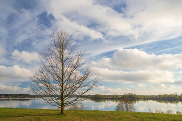 Fototapeta na wymiar View to Daugava river from Daugava promenade in Riga on sunny spring day. Bare tree with green buds in foreground and beautiful white clouds reflecting in the water