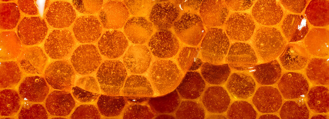 Honey close-up. Amber sweet honey in honeycomb. Transparent honey flows down the honeycomb