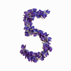 Photo No. 5 of purple flowers on a white background. Typographic design element. Part of the flower alphabet. Numeral 5.