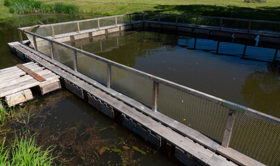 Fish farm in the pond. Aquaculture in the open air.