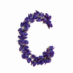 Letters of flowers, a bright alphabet of purple petals. Letter C.