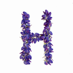 Letters of flowers, a bright alphabet of purple petals. Letter H.
