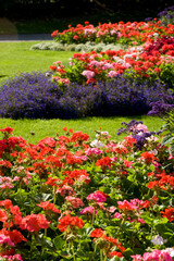 View of the Arboretum in the east end of Lincoln, Lincolnshire, UK - August 2009